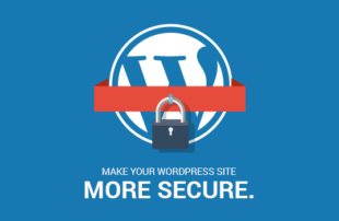 Secure WordPress