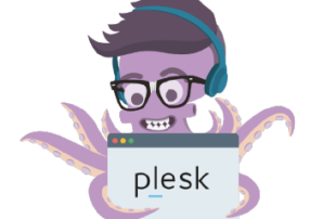 install plesk